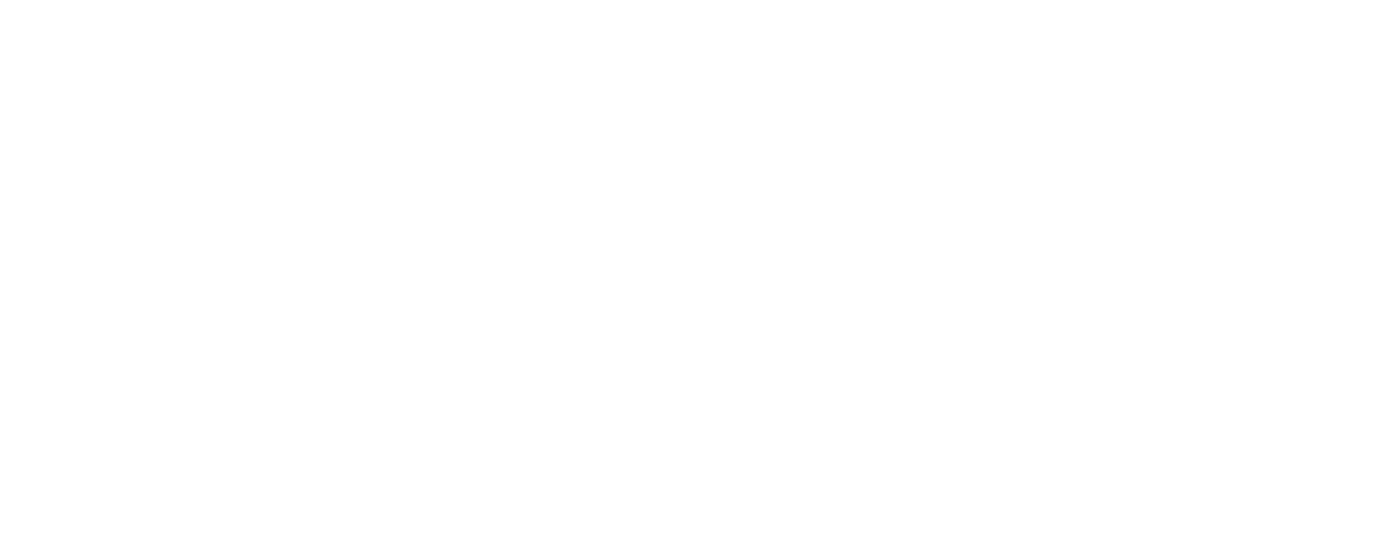 Palmroc